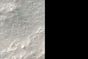 Albedo Monitoring in Solis Planum