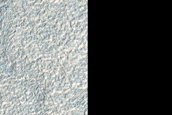 Contact in Northern Mid-Latitudes