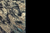 Barchan Dunes in North Polar Layered Deposits