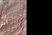 Phyllosilicate-Rich Terrain on Terby Crater Rim
