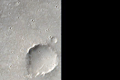 Elysium Planitia Impact Ejecta
