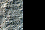 Phyllosilicates in Crater Rims North of Hellas Planitia