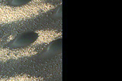 North Polar Duneforms and Frost