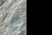 Northern Hellas Planitia Phyllosilicates