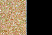 Monitor Perennial Ice