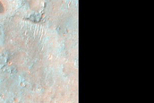 Dunes near Syrtis Major Planum Crater Ejecta