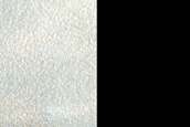 Knobby Terrain in Arcadia Dorsa
