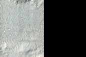 Alluvial Fans in Holden Crater