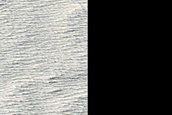 Terrain South of Olympus Mons
