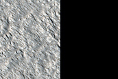 Tempe Terra