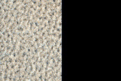 Terrain Sample