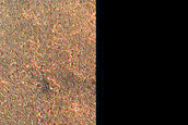 Terrain Sample
