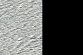 Monitoring New Impact Site