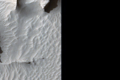 Lava Filling Craters in Elysium Planitia