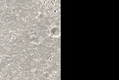 Terrain Sample in Elysium Planitia
