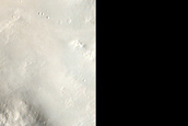 Terrain Sample