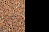 Terrain Sample