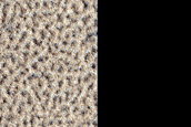 Terrain Sample
