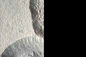 Scarp Monitoring