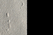 Impact Monitoring in Arcadia Planitia