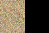 Terrain Sample