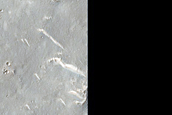 Ridges in Isidis Planitia