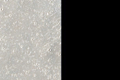 Candidate Recent Impact Site