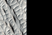 Aeolis Serpens