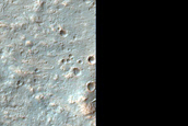 Phyllosilicate-Bearing Crater Ejecta in Terra Tyrrhena