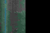 Possible Pyroxene on Claritas Fossae Massif