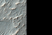 Possible Chloride-Rich Deposits inside Degraded Crater in Terra Sabaea