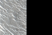 Possible Meander and Cutoff West of Elysium Rise