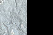 Ridge and Trough Terrain in Protonilus Mensae