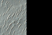 Radial Ridges on Crater Floor in Terra Sabaea
