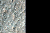 Phyllosilicate-Rich Knob Southwest of Terby Crater