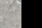 Utopia Planitia