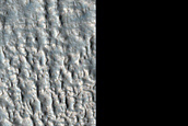 Protonilus Mensae Survey
