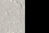Sample in Utopia Planitia