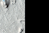 Lava-Filled Crater in Elysium Planitia