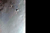 Terrain Sample