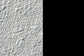 Candidate Recent Impact Site