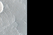 Terrain Sample