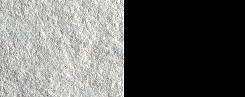 Dust Devil Tracks in Arcadia Planitia
