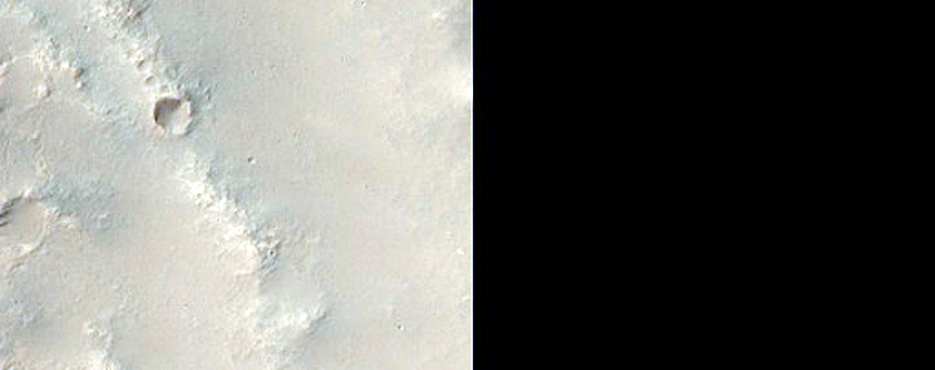 Solitary Dark Dunes on Fine Grid of Bright Dunes