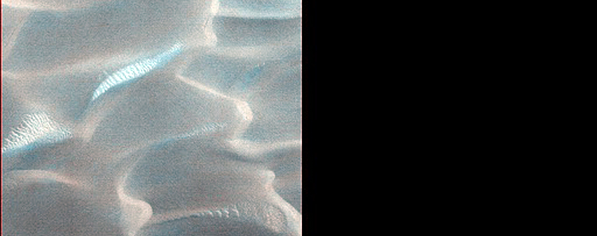 Dunes Dubbed Buzzel