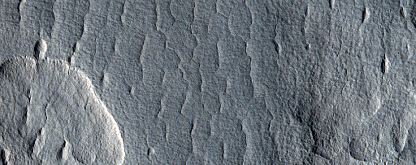Scalloped Ejecta Margin
