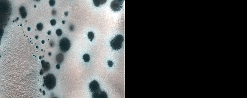 Low-Latitude Dunes with Seasonal Spots and Possible Forming Spiders
