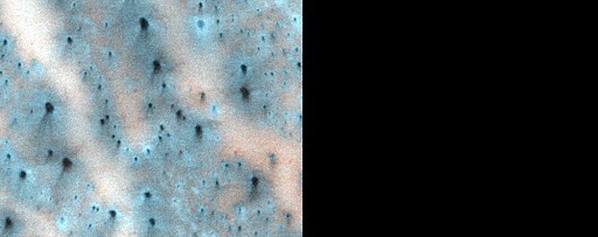 Active Dunes with Star-Shaped Fans