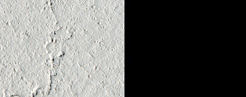 Elysium Planitia Lava
