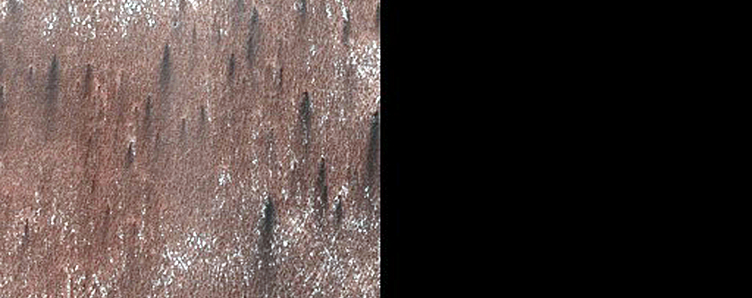 Sublimation Spot Development in Bland Terrain